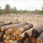 Deputados federais de Caxias e o novo Código Florestal