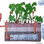 VII Vivência Agroecológica MUDA Solano: Saneamento Ecológico